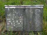 image of grave number 118652